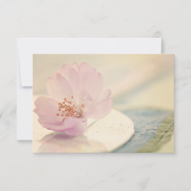 RSVP Delicate Soft Pink Cherry Blossom Flower Card (Front)