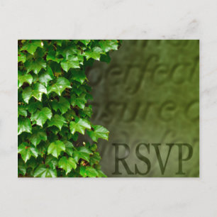 RSVP Event And Wedding Invitation Postcard