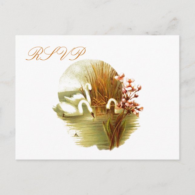 RSVP Postcard (Front)