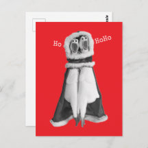 Rubber chicken Santa Postcard