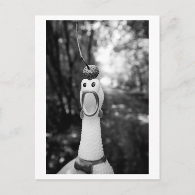 Rubber Chicken with Acorn Hat Postcard (Front)