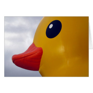rubber duck