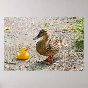 Rubber Duck and Mother Duck Poster