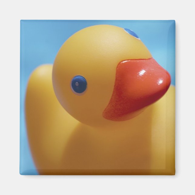 Rubber Duck Close-Up Magnet (Front)