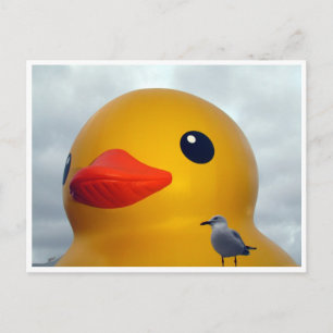 rubber duck seagull postcard