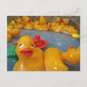 Rubber Duckies Postcard