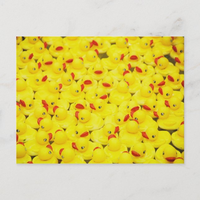 Rubber Duckies Postcard (Front)