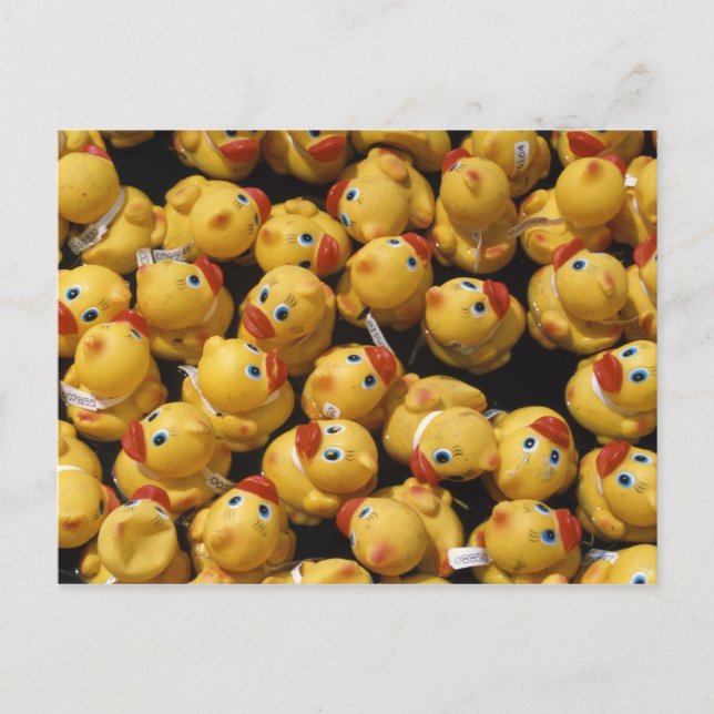 Rubber ducky race - Postcard (Front)