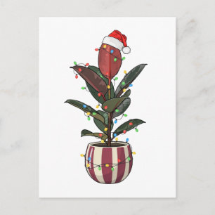 Rubber Plant Ficus Santa Hat Christmas Lights Holiday Postcard