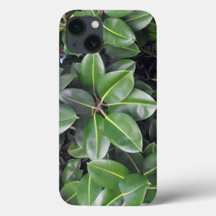 Rubber Tree Closeup iPhone 13 Case