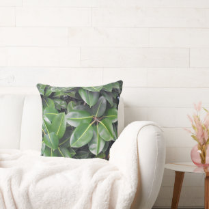 Rubber Tree Closeup Cushion