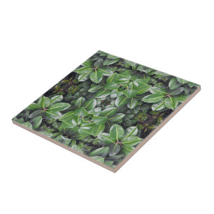 Rubber Tree Leaf Pattern Ceramic Tile