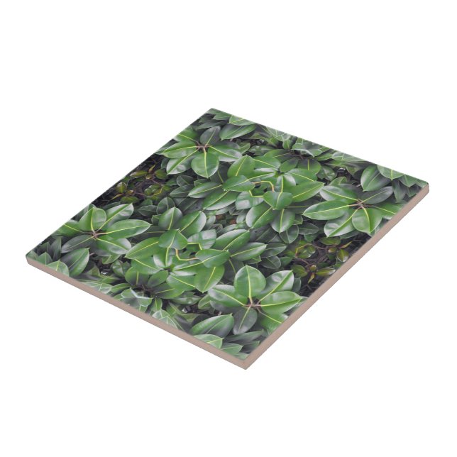 Rubber Tree Leaf Pattern Ceramic Tile (Side)