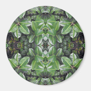 Rubber Tree Leaf Pattern Magnet
