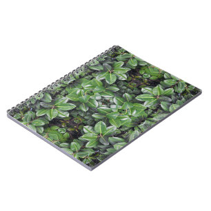 Rubber Tree Leaf Pattern Notebook