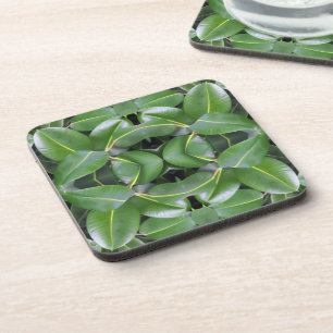 Rubber Tree Pattern Coaster