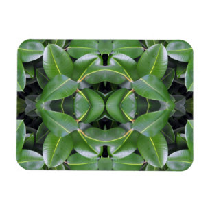 Rubber Tree Pattern Magnet