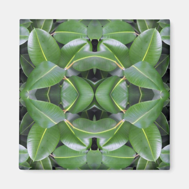 Rubber Tree Pattern Magnet (Front)