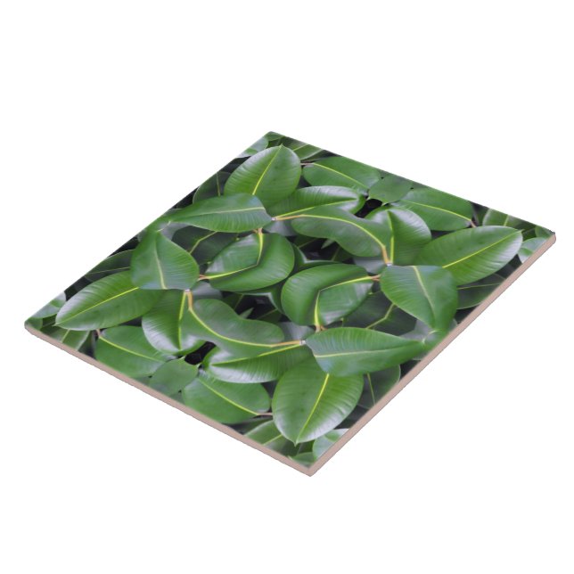 Rubber Tree Pattern Tile (Side)