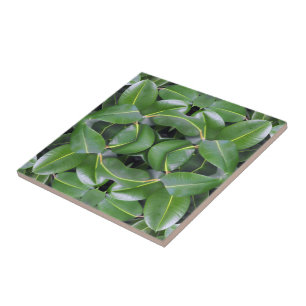 Rubber Tree Pattern Tile