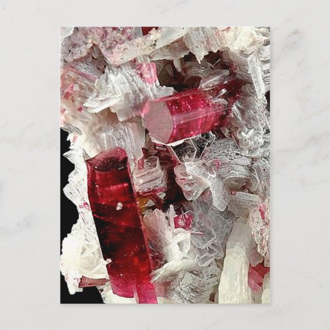 Rubellite Postcard (Front)