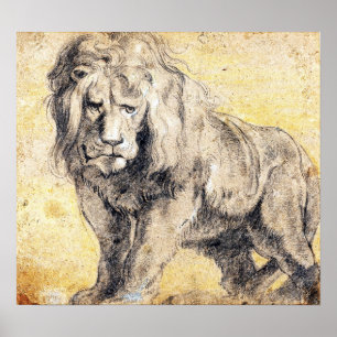 Rubens - Lion Poster