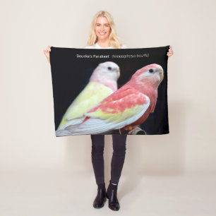 Rubino Bourke's Parakeet Fleece Blanket