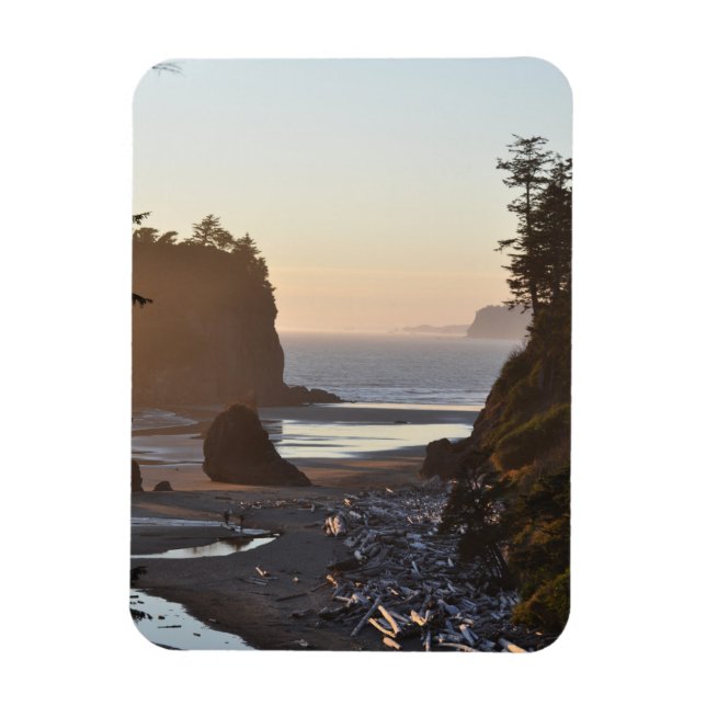 Ruby Beach on the Pacific Ocean Magnet (Vertical)