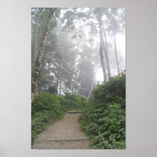 Ruby Beach, Pacific Coast - WA Poster