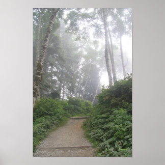 Ruby Beach, Pacific Coast — WA Poster