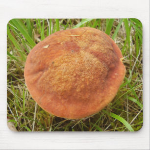 Ruby Bolete Mushroom Mouse Mat