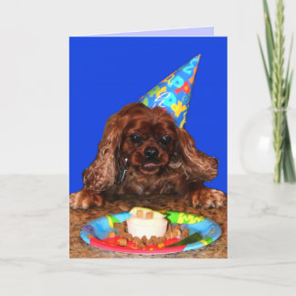 Ruby Cavalier Birthday Card
