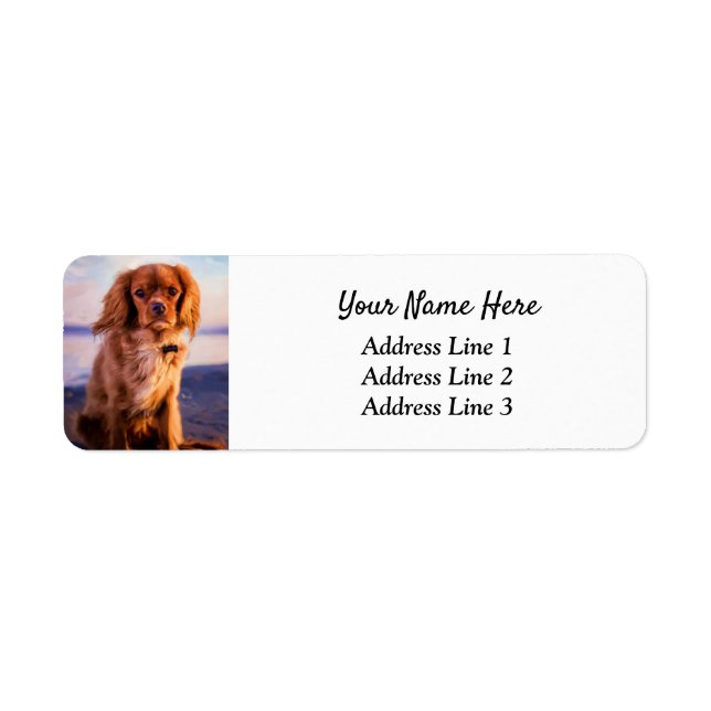 Ruby Cavalier King Charles Return Address Label (Front)