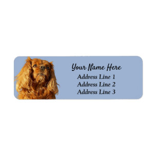 Ruby Cavalier King Charles Return Address Label