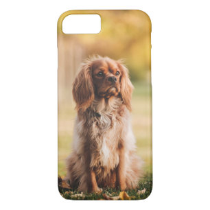 Ruby Cavalier King Charles Spaniel Dog iPhone 8/7 Case