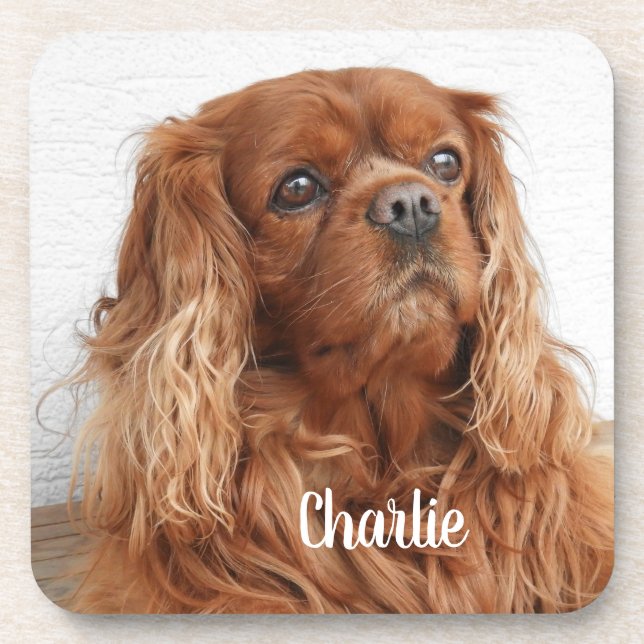 Ruby Cavalier King Charles Spaniel Dog Coaster (Front)