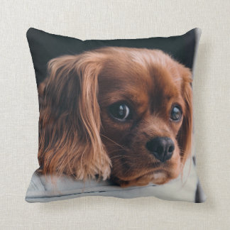 Ruby Cavalier King Charles Spaniel Dog Cushion