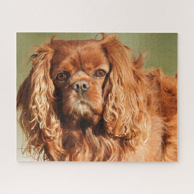 Ruby Cavalier King Charles Spaniel Dog Jigsaw Puzzle (Horizontal)
