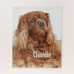 Ruby Cavalier King Charles Spaniel Dog Jigsaw Puzzle