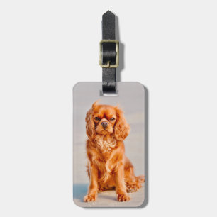 Ruby Cavalier King Charles Spaniel Dog Luggage Tag