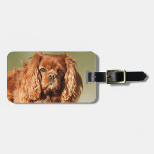 Ruby Cavalier King Charles Spaniel Dog Luggage Tag