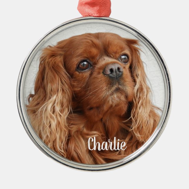 Ruby Cavalier King Charles Spaniel Dog Metal Ornam Ornament (Front)