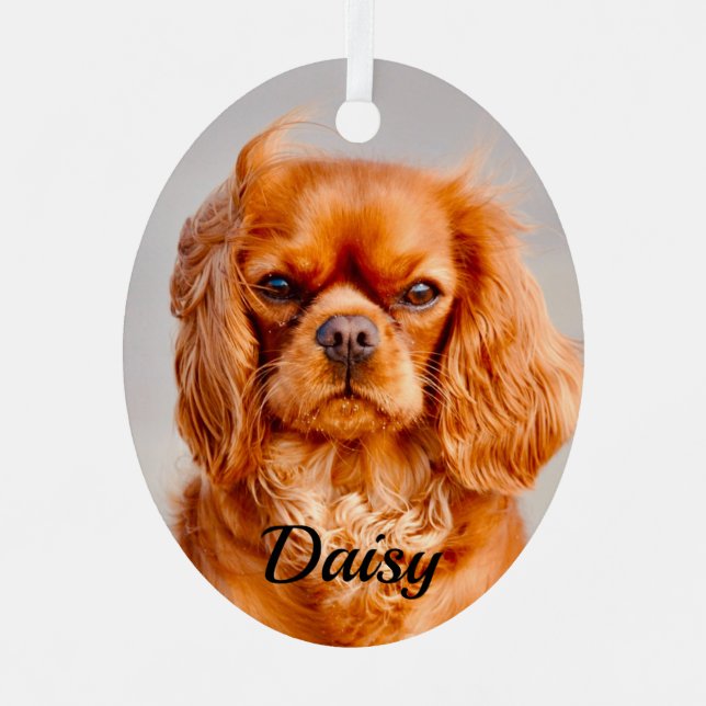Ruby Cavalier King Charles Spaniel Dog Metal Tree Decoration (Front)