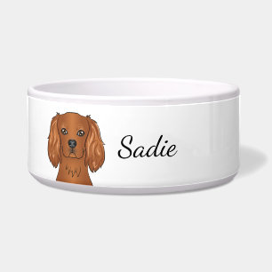 Ruby Cavalier King Charles Spaniel Dog & Name