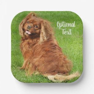 Ruby Cavalier King Charles Spaniel Dog Paper Plate