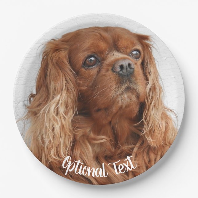 Ruby Cavalier King Charles Spaniel Dog Paper Plate (Front)
