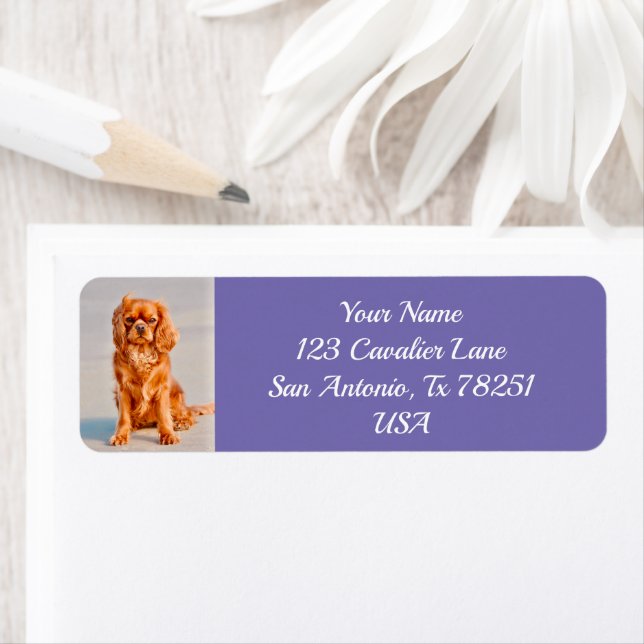 Ruby Cavalier King Charles Spaniel Dog Return Address Label (Insitu)