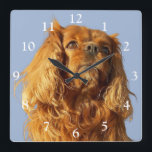 Ruby Cavalier King Charles Spaniel Dog Square Wall Clock<br><div class="desc">Ruby Cavalier King Charles Spaniel Dog Square Wall Clock</div>