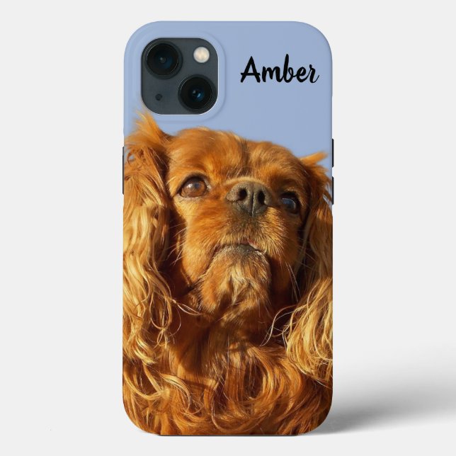 Ruby Cavalier King Charles Spaniel Puppy Dog Blue Case-Mate iPhone Case (Back)