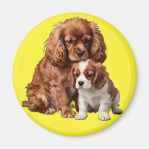 Ruby Cavalier Spaniel and her Blenheim puppy Magnet